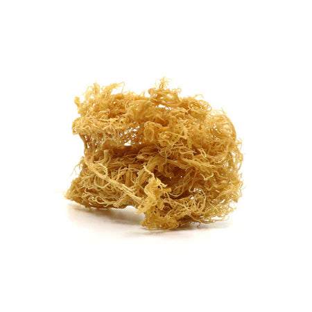 Sea Moss Raw