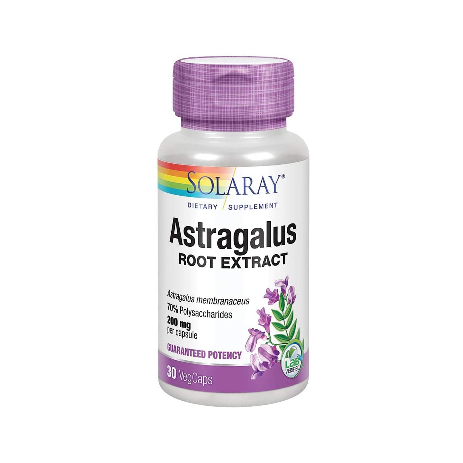 Astragalus Root Extract