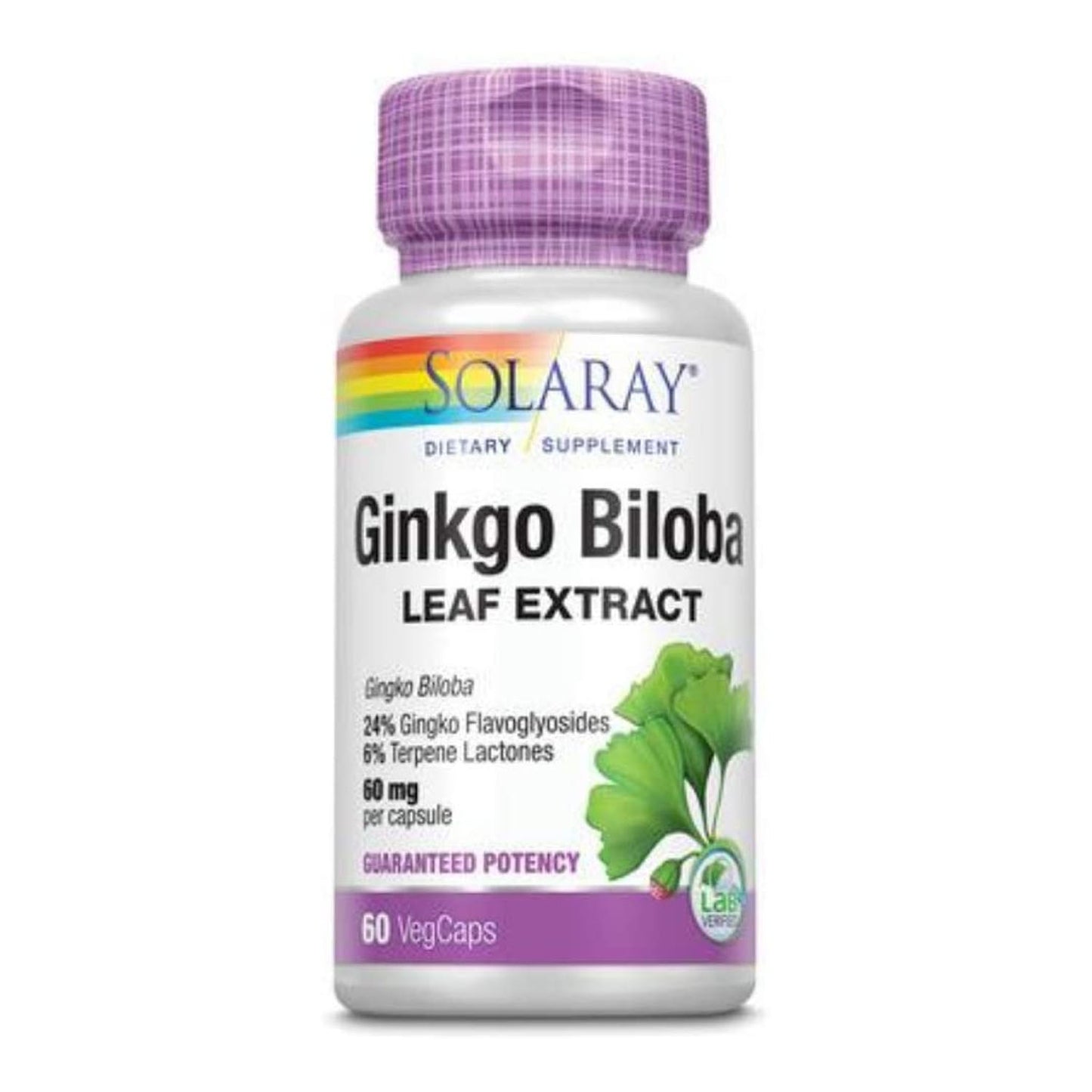 Ginkgo Biloba Extract